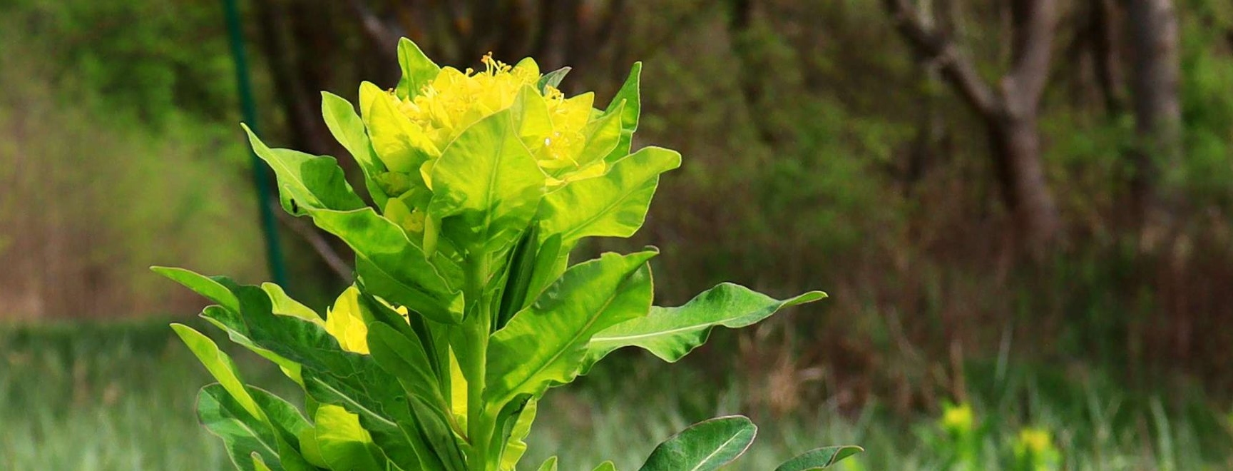 KRÁSY LUŽNÍ KRAJINY II