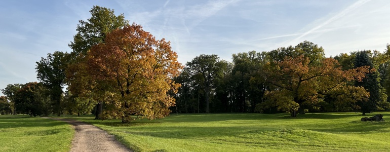 Krajinářský park v Mošnicích s stromy a cestou.