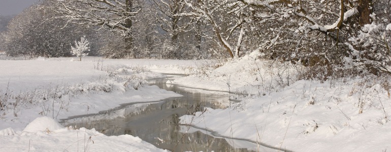 Foto: Radim Jarošek