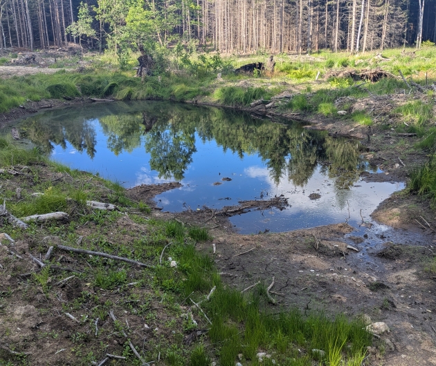 Tůně Grenzteich 