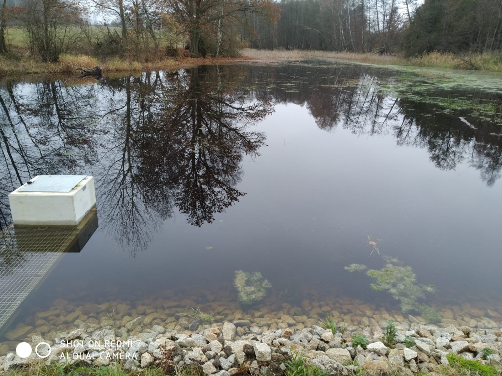 Revitalizace PR U Sedmi ryvníků, foto: Barbora Maršálková