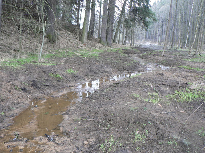 Revitalizace rybníků v přírodní rezervaci Meandry Smědé.