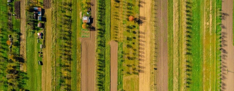 Živé plužiny v Kuželově, foto Radomír Staš