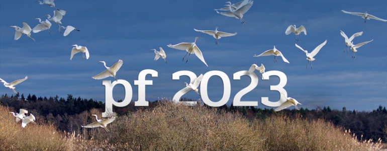 PF 2023.