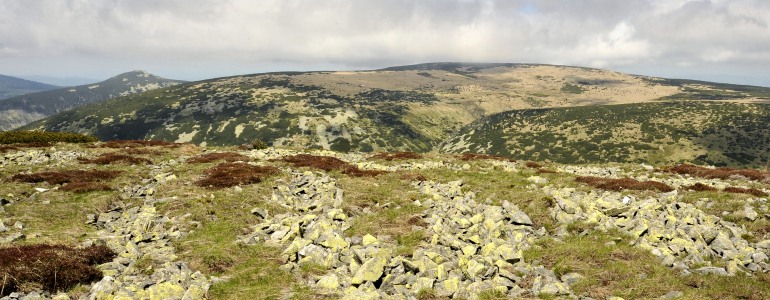 Krkonošská tundra.