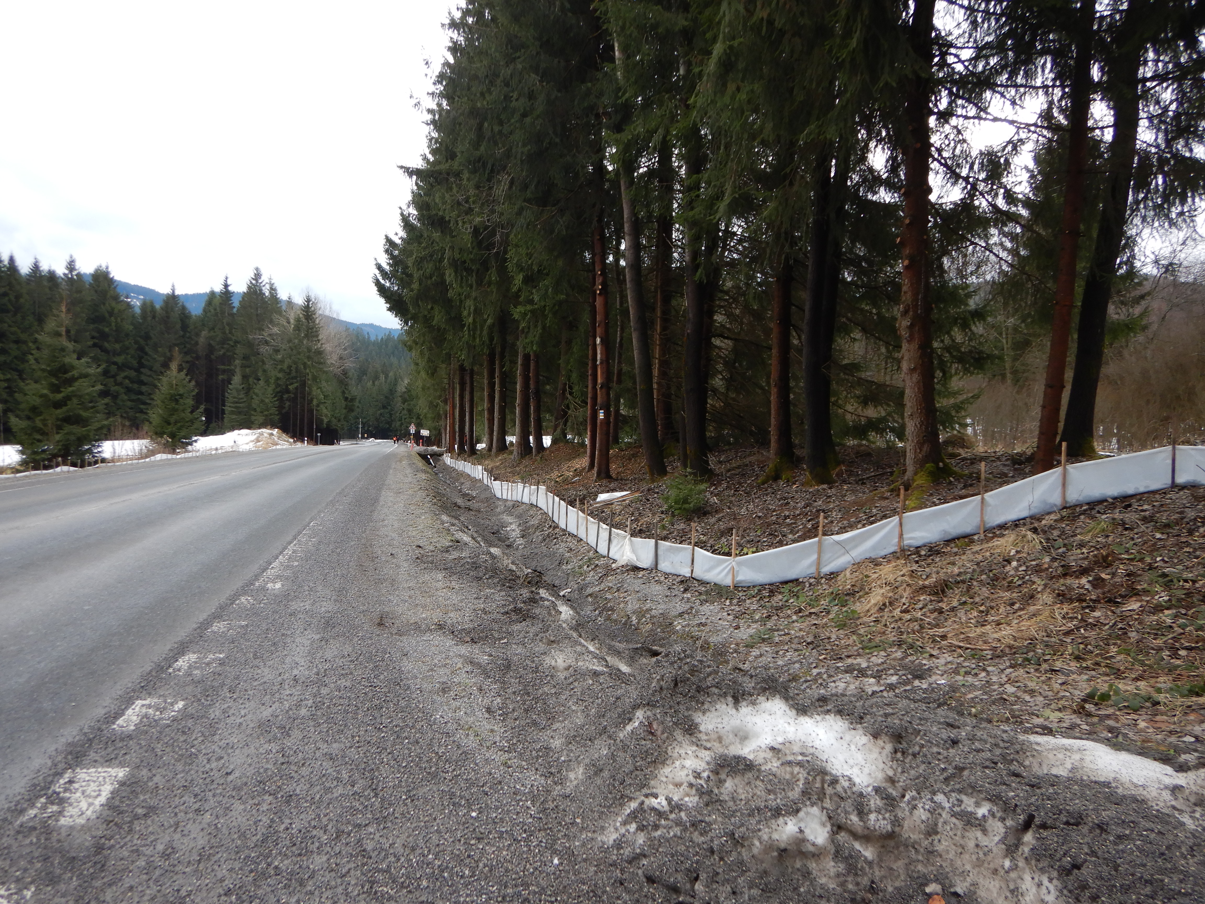 migrační bariéry u VN Šance