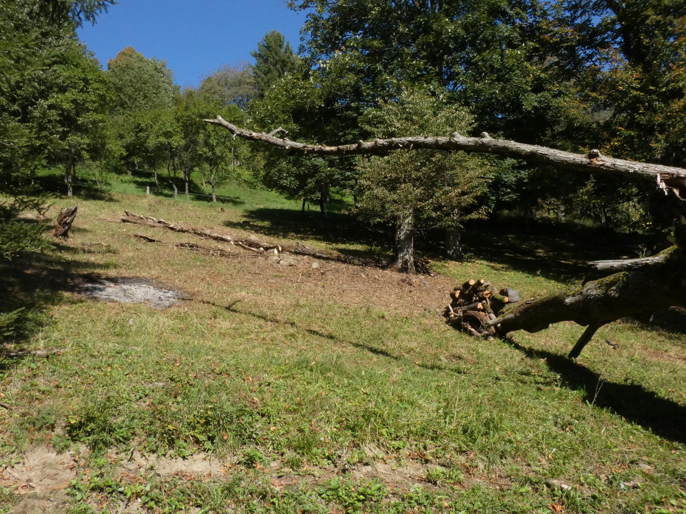 Přírodní rezervace Losový - po výřezu