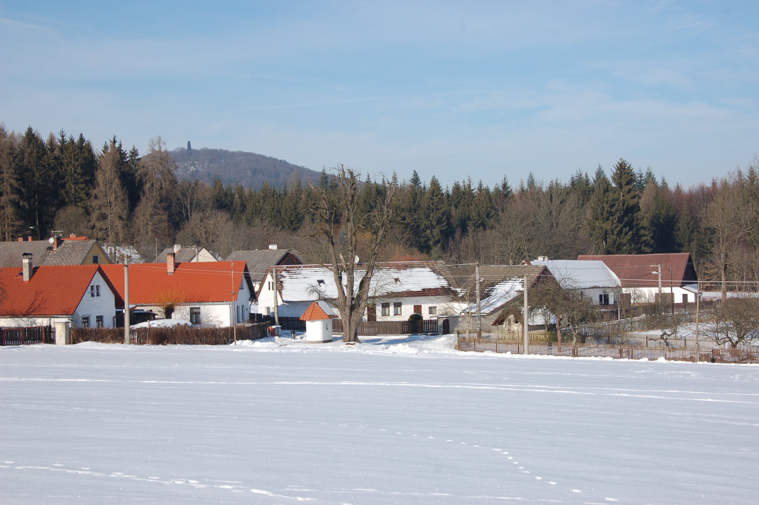 Obec Lesáky.