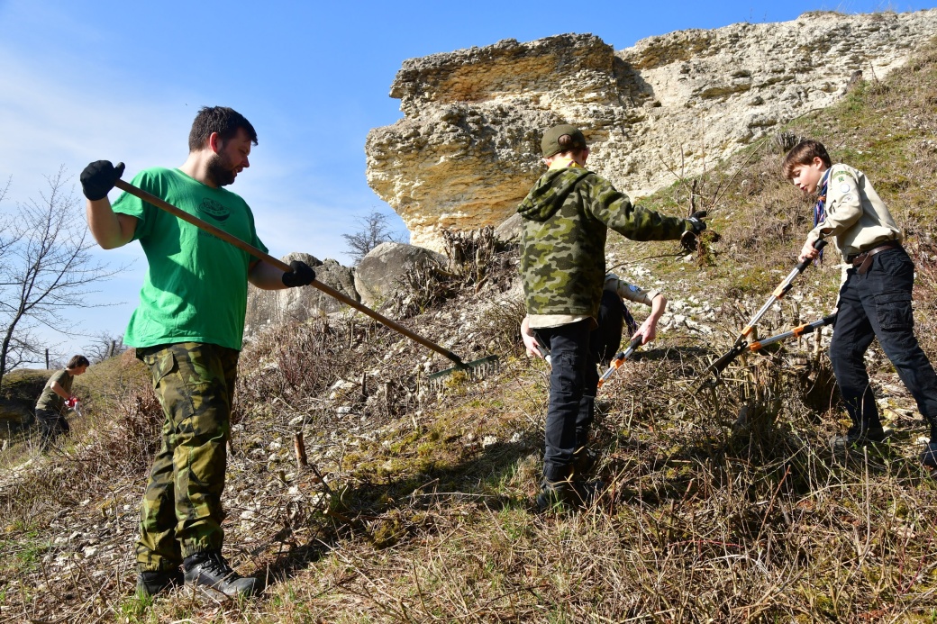 Skauti hrabou větve.