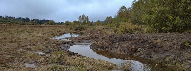 nové tůně u Dolejšího Padrťského rybníka