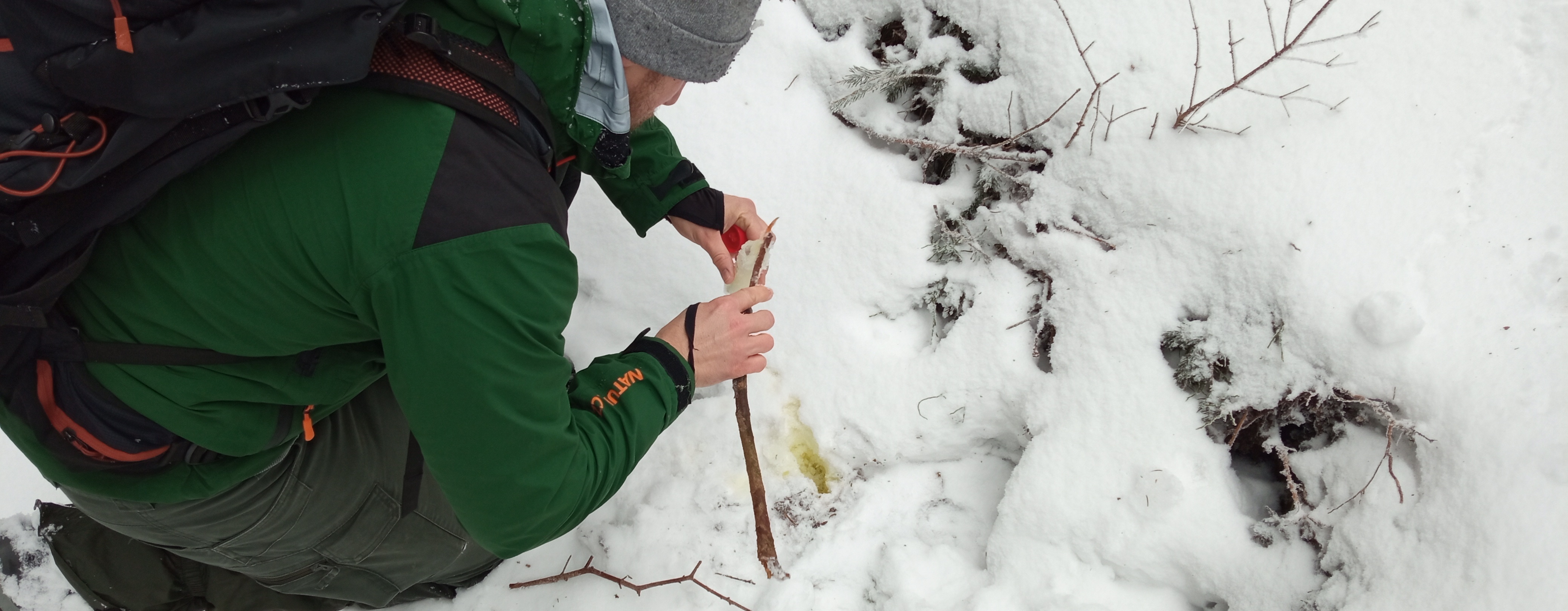 Mapování vlka v terénu, foto: Petr Kafka