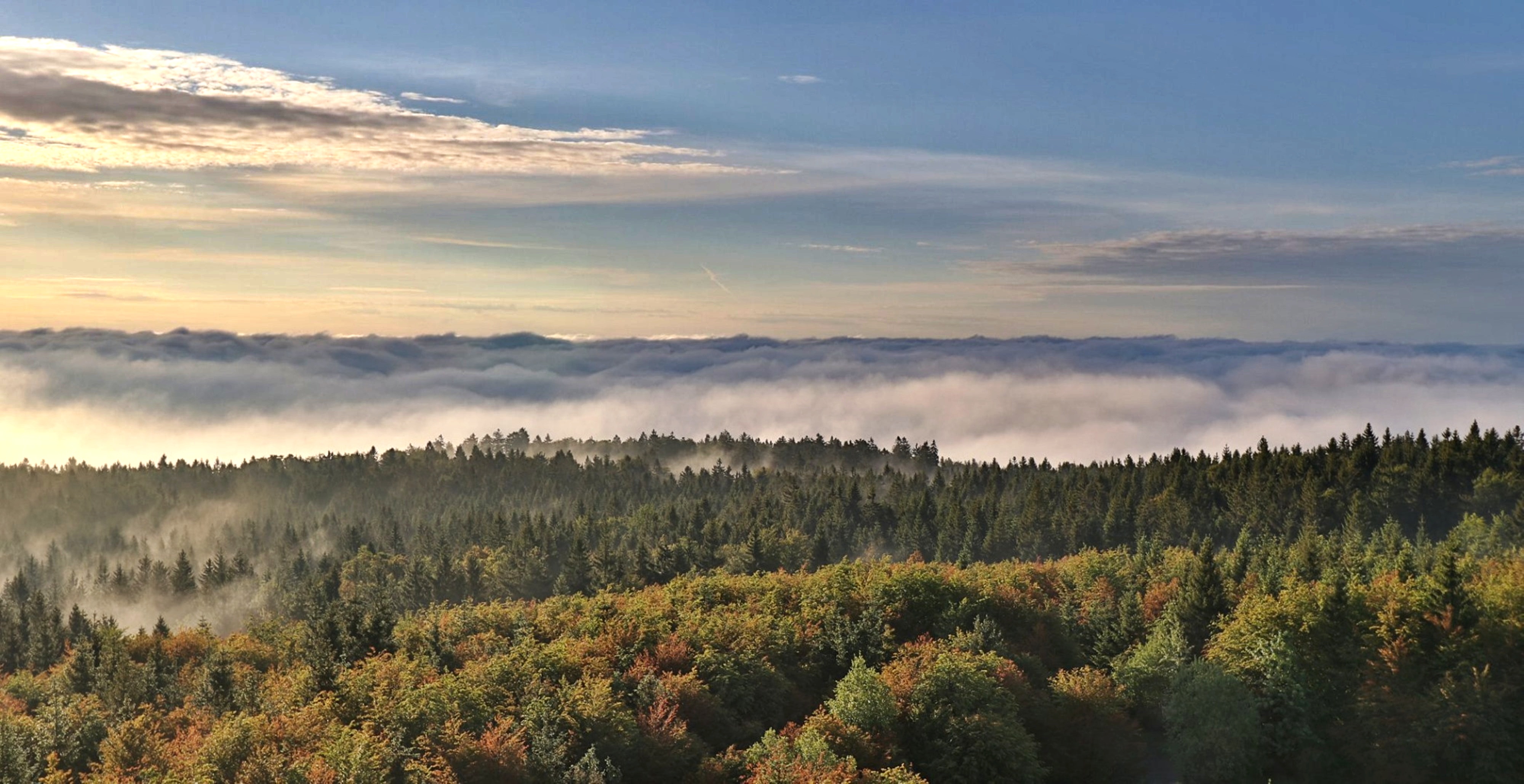 Ze Silberhütte přes pramen Lesní Náby k vojenské věži