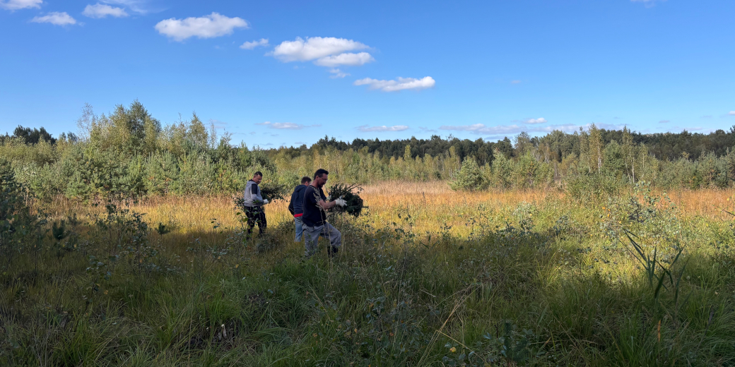 Pracovníci společnosti Clarios Česká Lípa spol. s r.o. vyřezávali nálety v národní přírodní památce Polabská černava.