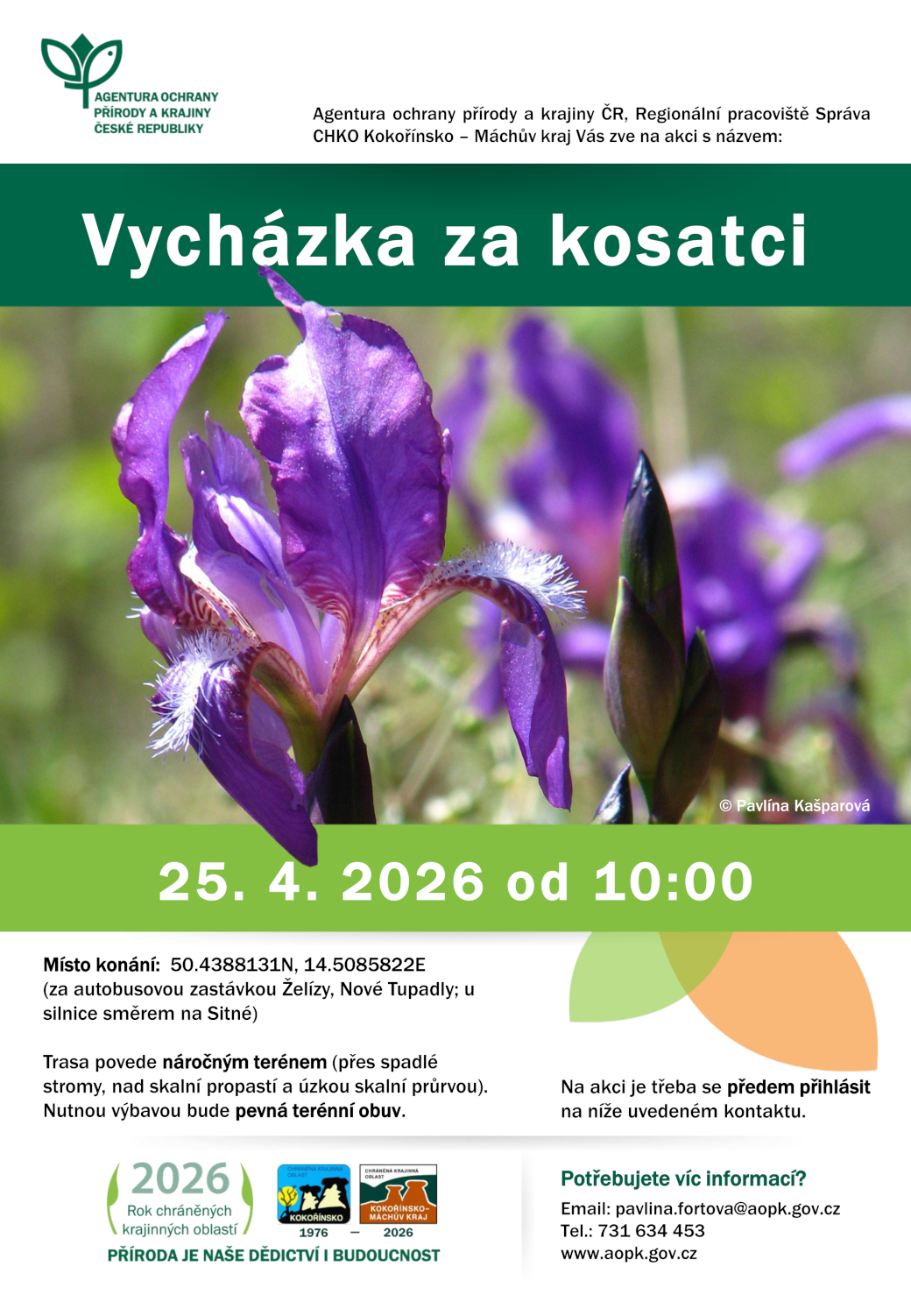 Pozvánka na vycházku za kosatci.