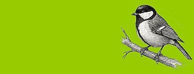 Vítání ptačího zpěvu