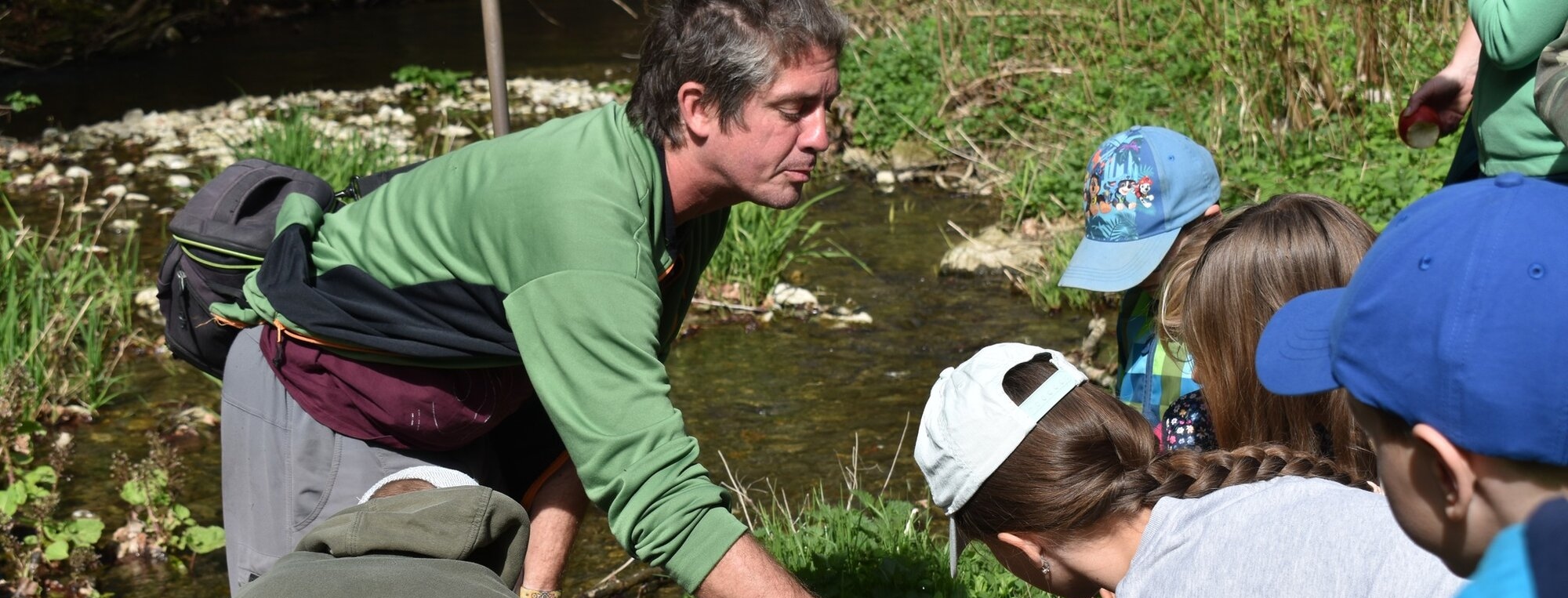 Život v mokřadech kolem Punkvy