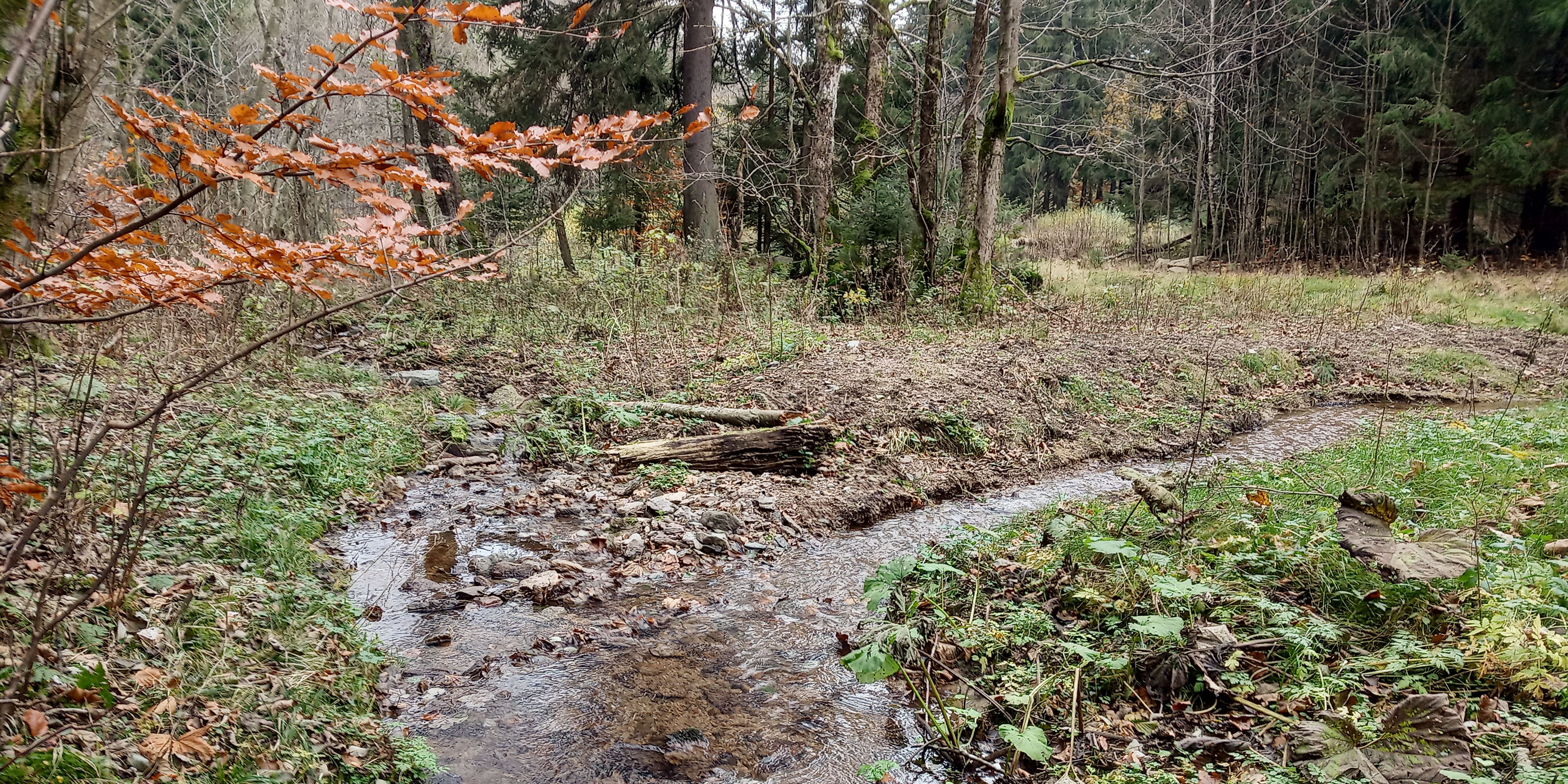 Díky opravenému rozdělovacímu objektu je opět z koryta Kuního potoka převáděna voda. foto: Martin Čapek