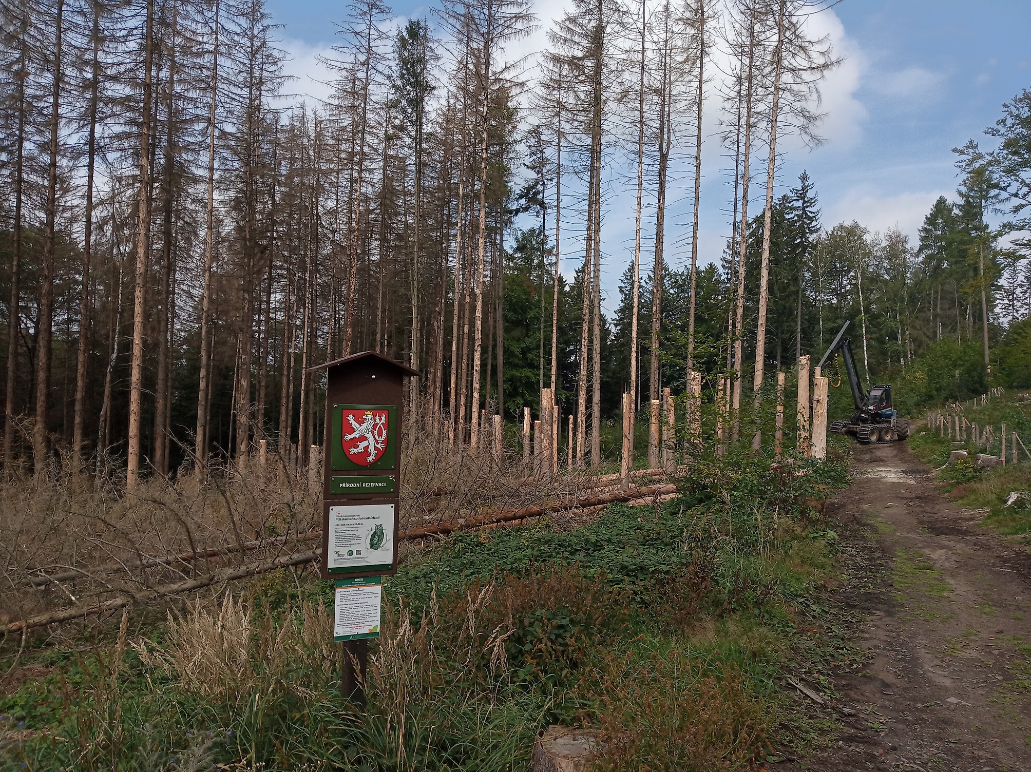 Harvestor torzující odumřelé stromy smrku. (foto:Aleš kopecký)