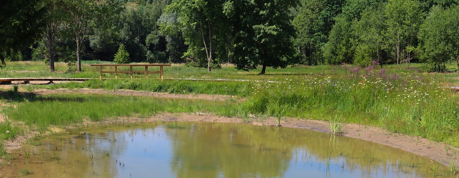 Revitalizace potoka Podhůra. Foto: Milan Růžička