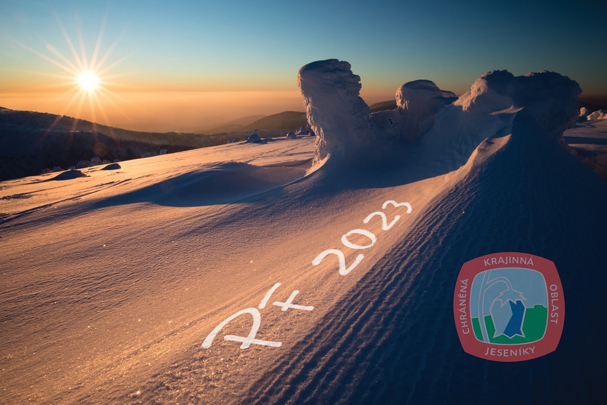 PF 2023
